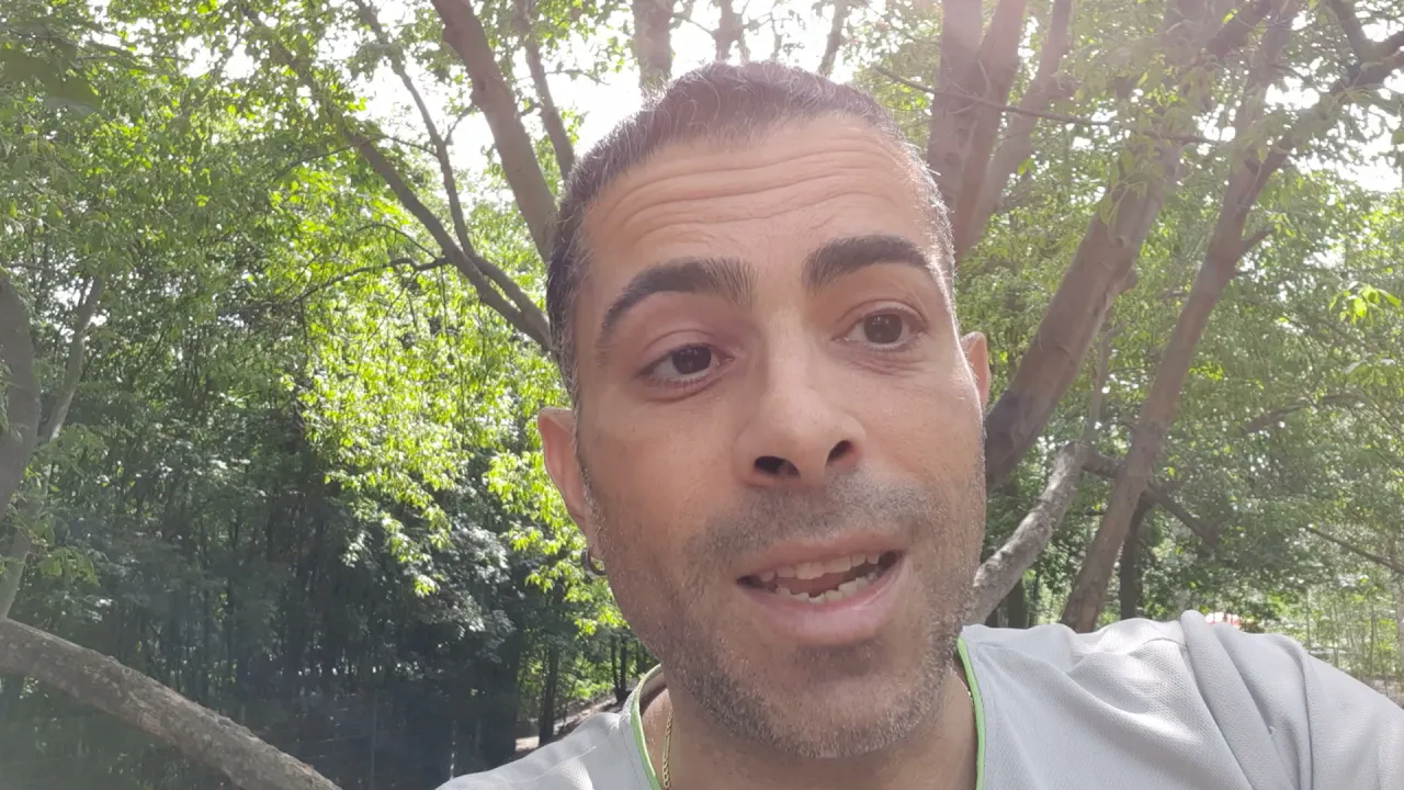 Ritorno alle Origini